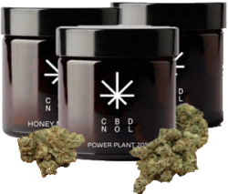 HHC Blüten von CBDnol