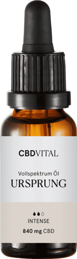 URSPRUNG Intense Öl (20ml)