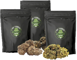 HHC Blüten von HHCpoint