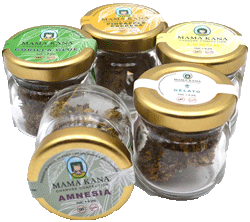 CBD Blüten von CBD Hase