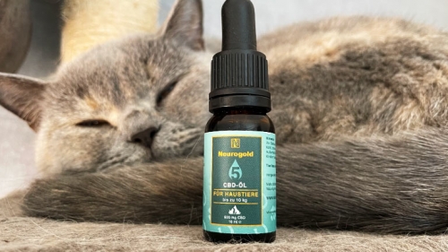 Neurogold CBD Öl für Tiere 5%