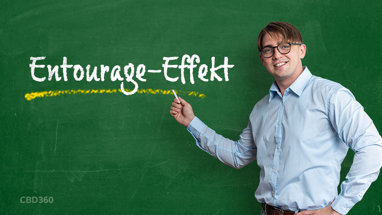 Terpenen Entourage Effekt Forschung