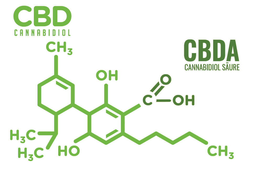 Unterschied CBD vs CBDA