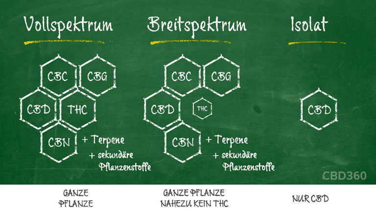Unterschied zwischen CBD Vollspektrum, Breitspektrum & Isolat